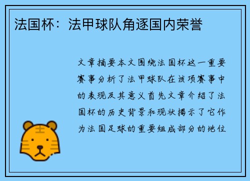法国杯：法甲球队角逐国内荣誉